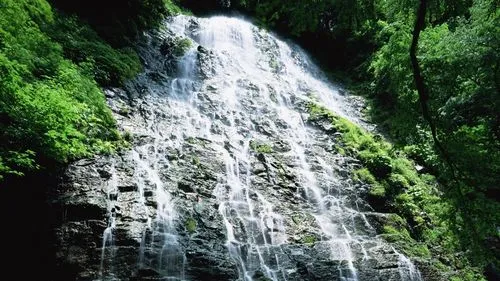 高性能高精度精密